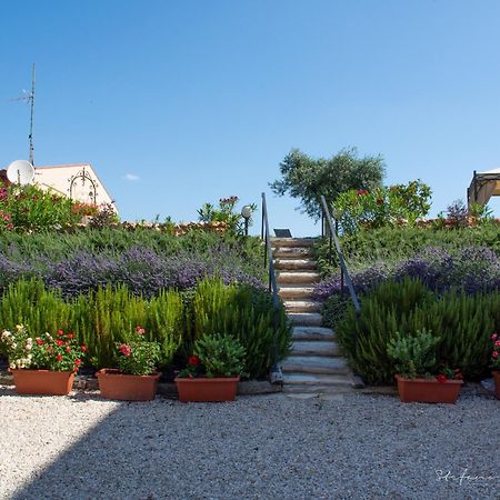Villa Mascitti B&B Tortoreto Alto Екстер'єр фото