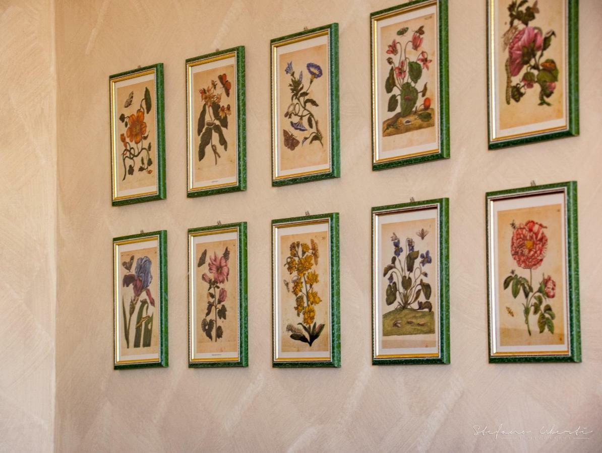 Villa Mascitti B&B Tortoreto Alto Екстер'єр фото