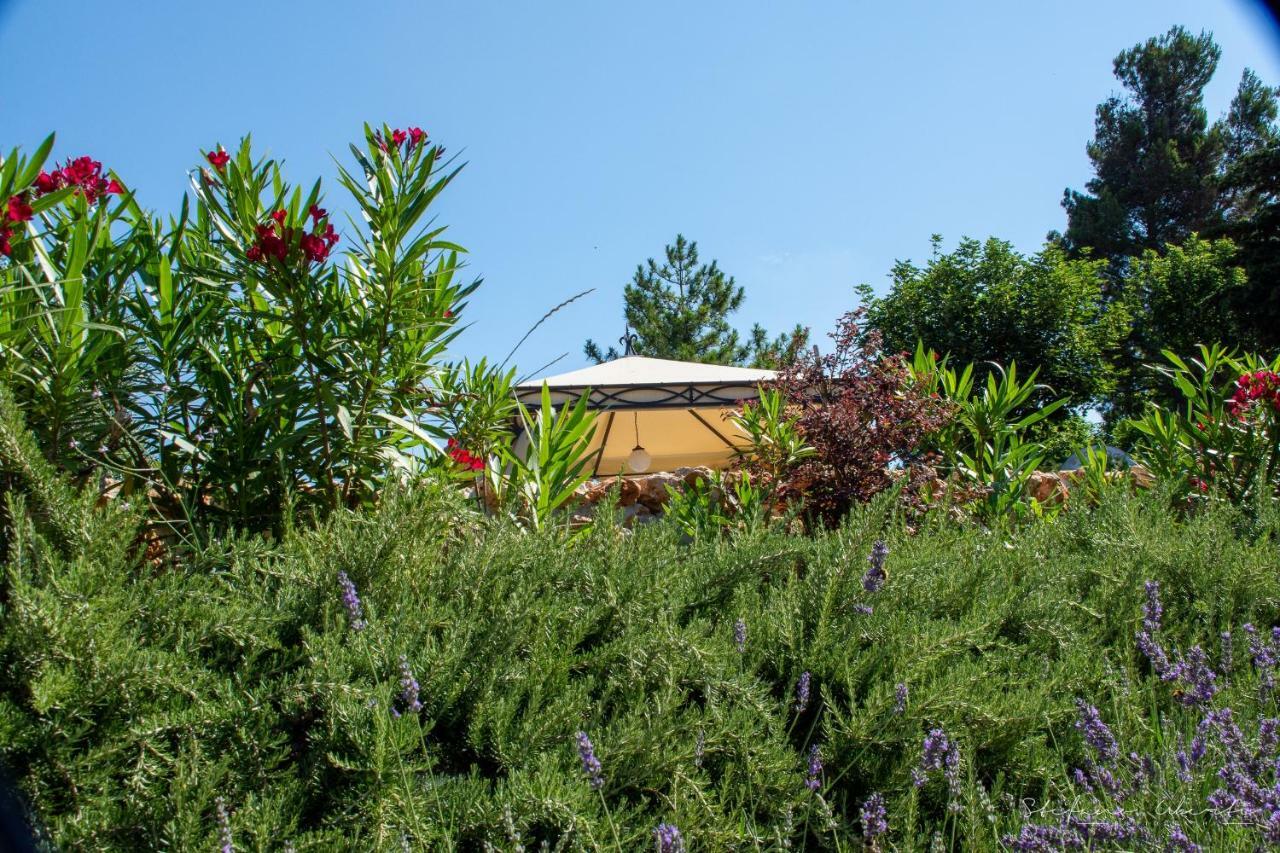 Villa Mascitti B&B Tortoreto Alto Екстер'єр фото