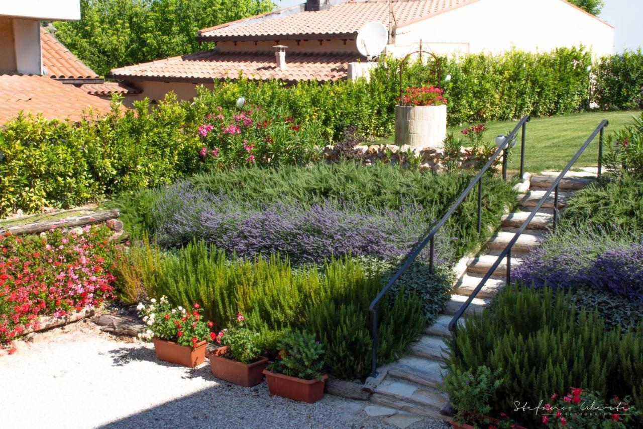 Villa Mascitti B&B Tortoreto Alto Екстер'єр фото