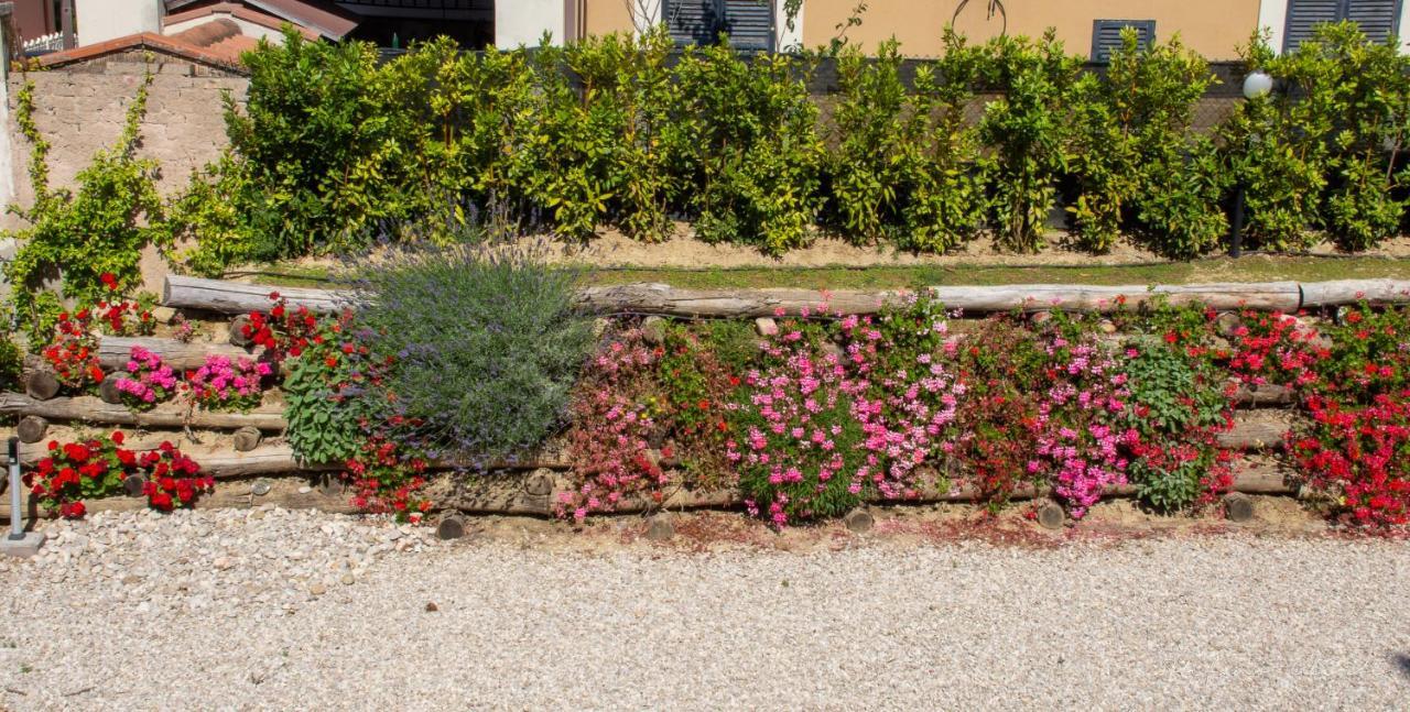 Villa Mascitti B&B Tortoreto Alto Екстер'єр фото